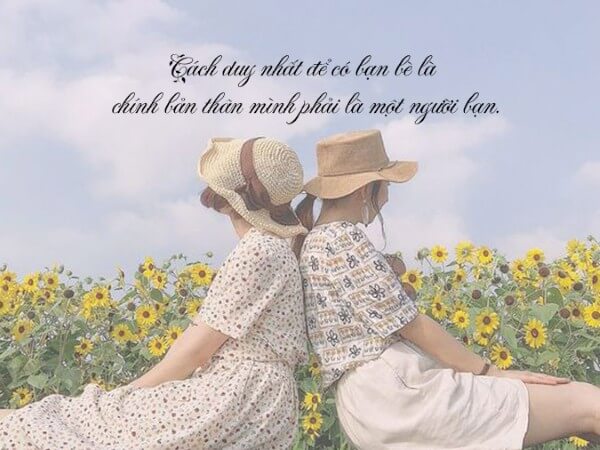 Những caption và hài hước về tình bạn