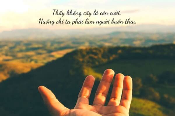 Những caption vui vẻ và ngắn cho nhiều hoàn cảnh khác nhau