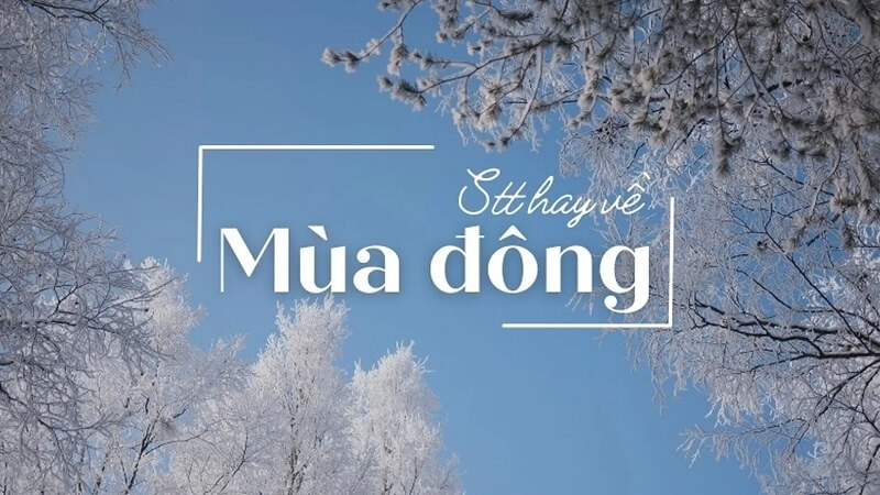 Tổng hợp những câu nói hay về mùa đông lãng mạn, ấm áp nhất 