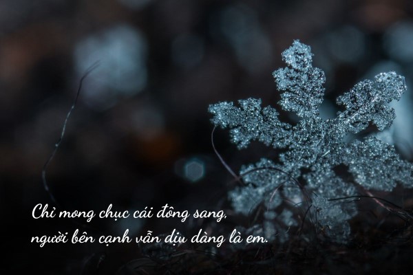 Những caption mùa đông ngắn gọn đăng kèm ảnh 