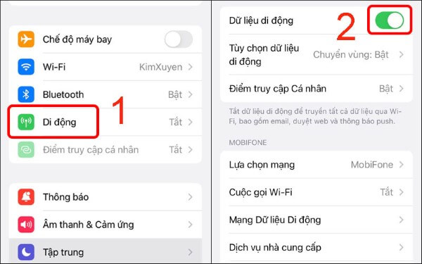 Chọn Di động và bật Dữ liệu di động