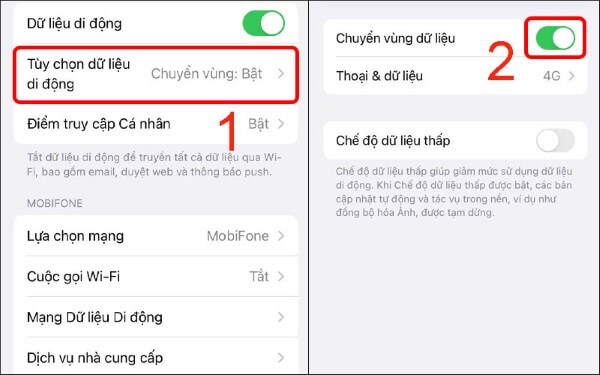 Chọn Tùy chọn dữ liệu di động và bật Chuyển vùng dữ liệu