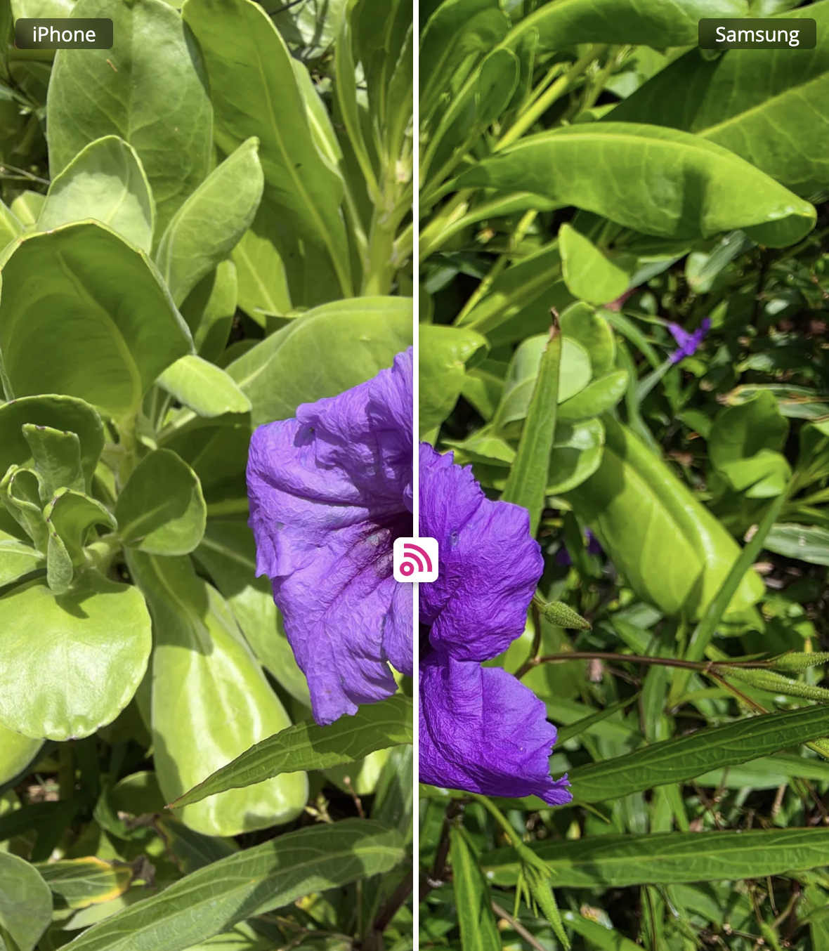 Đánh giá camera iPhone 18 Pro Max