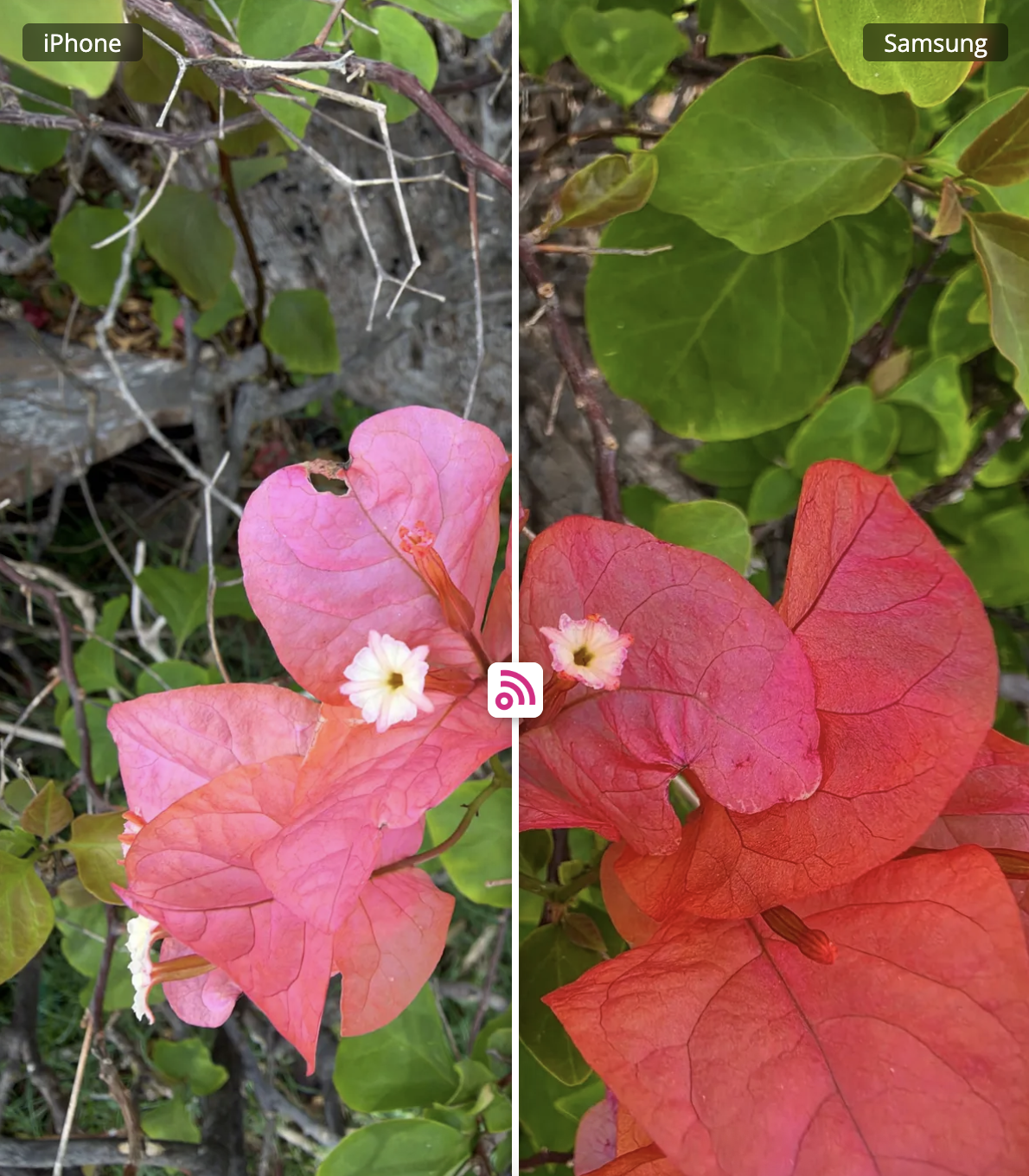 Đánh giá camera iPhone 18 Pro Max