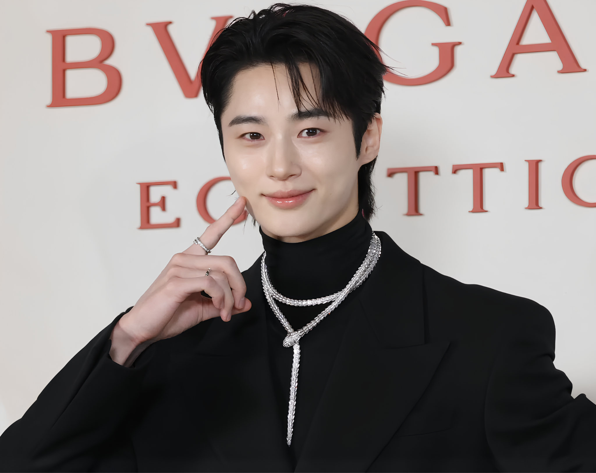 Byeon Woo Seok (sinh năm 1991 tại Bucheon) khởi đầu là người mẫu từ năm 2010, từng trình diễn tại Seoul Fashion Week nhiều mùa liên tiếp