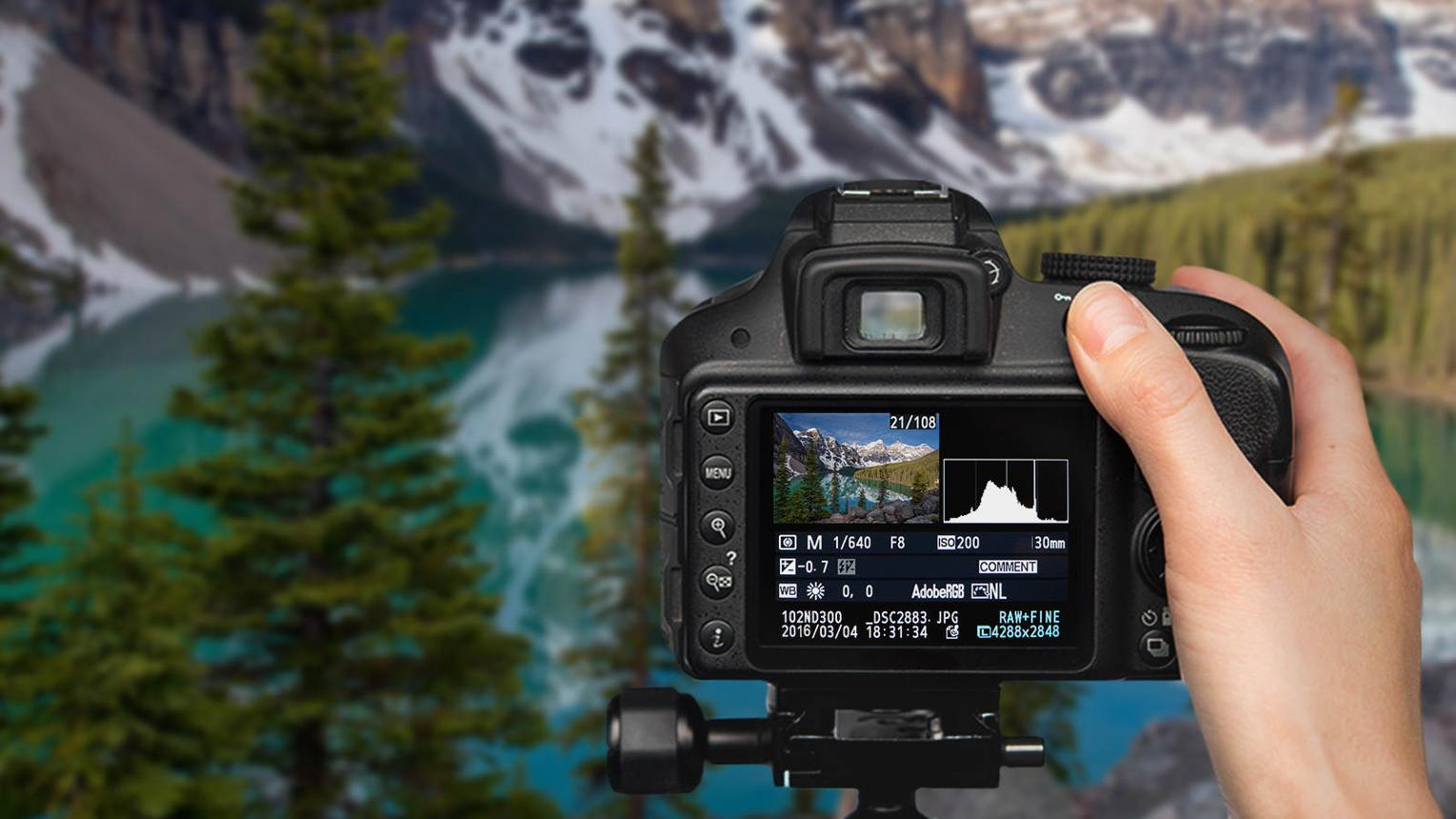 The 17 Best Online Photography Courses for All Skill Levels - Reviewed - Justin Katz Photography