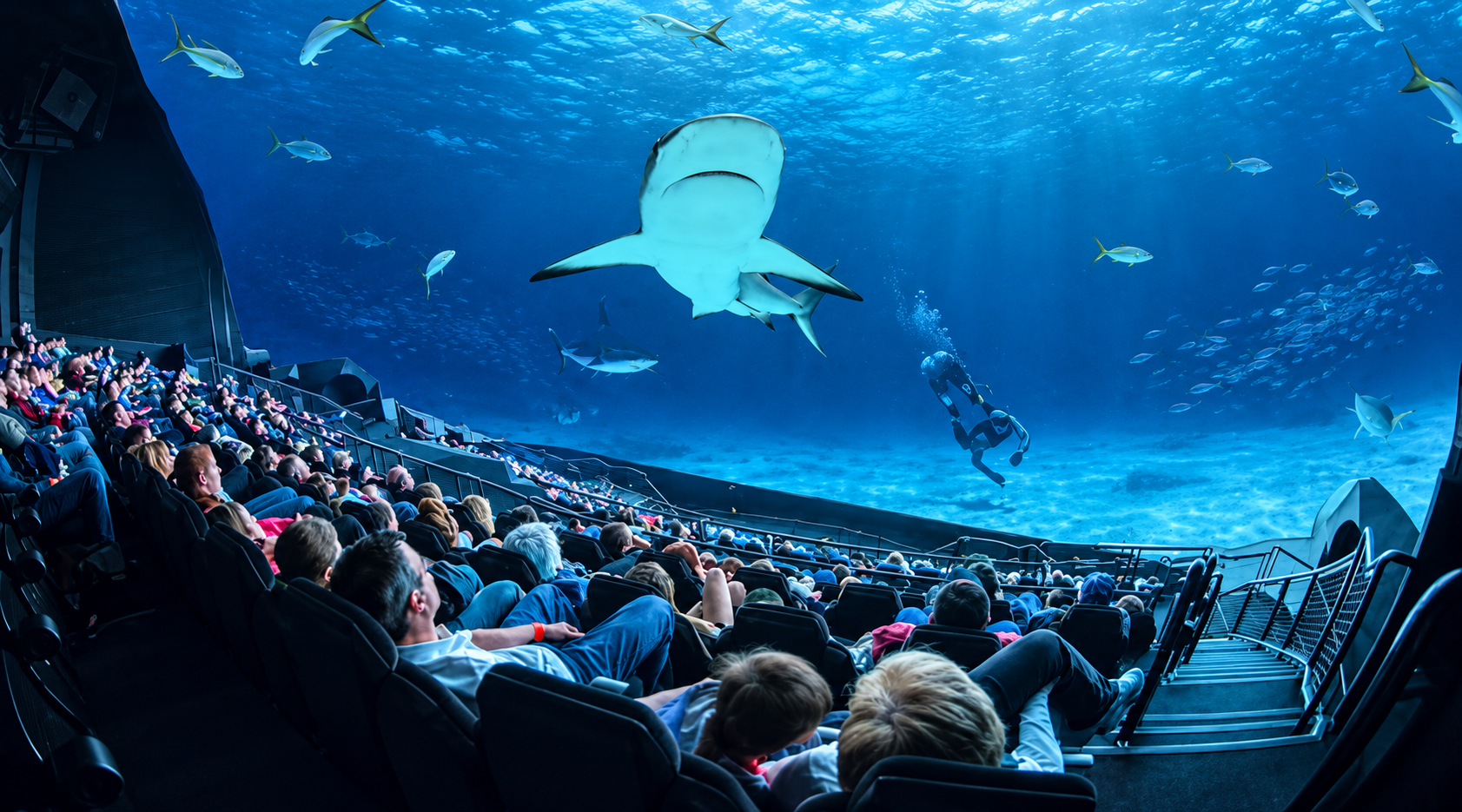 Giá vé IMAX CGV có thể tăng do phụ thu 3D, ngày lễ và một số điều kiện áp dụng riêng.