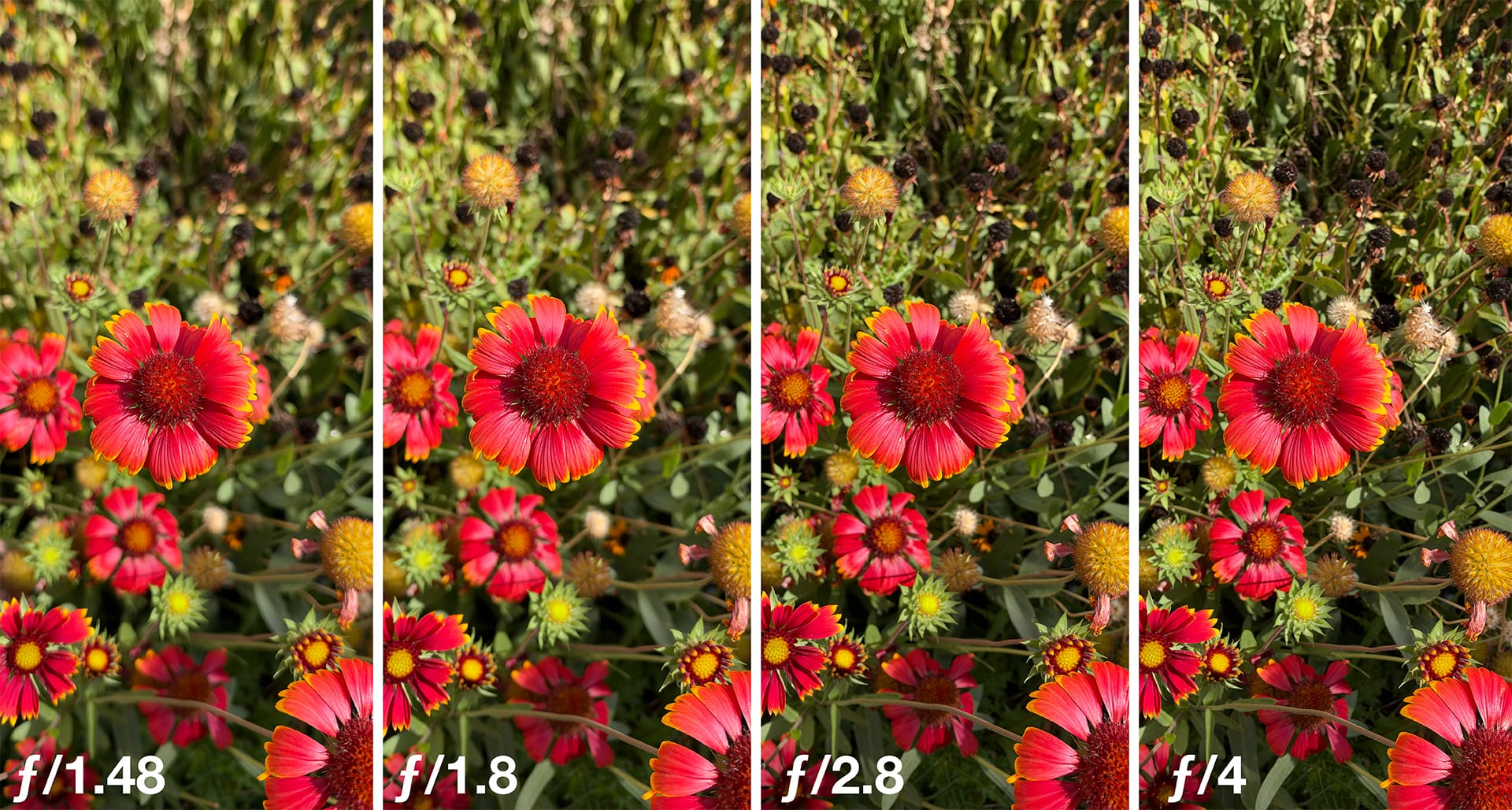 Variable aperture trên camera chính của iPhone 18 Pro Series