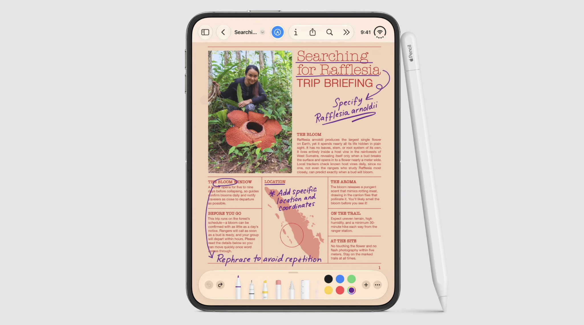 iPhone Duo Apple Pencil giúp bạn thỏa sức sáng tạo