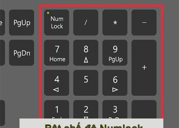 Cách khắc phục lỗi không gõ được số trên bàn phím trái laptop