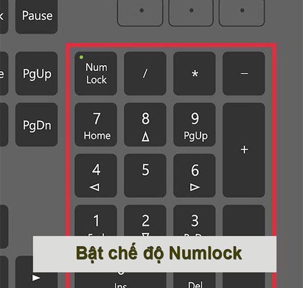 Cách khắc phục lỗi không gõ được số trên bàn phím trái laptop