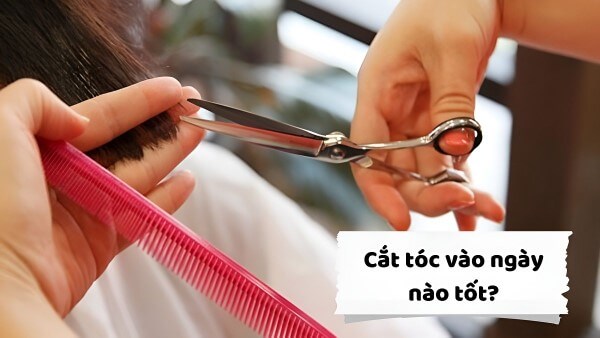 Một số lưu ý khi chọn ngày cắt tóc phù hợp