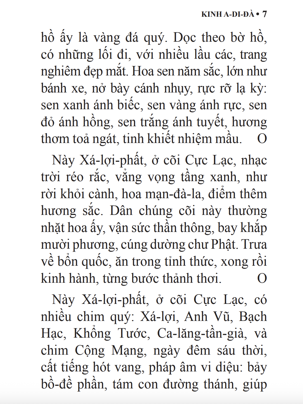 kinh a di đà