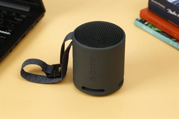 Sony không giới hạn các dòng sản phẩm đa dạng về thiết kế