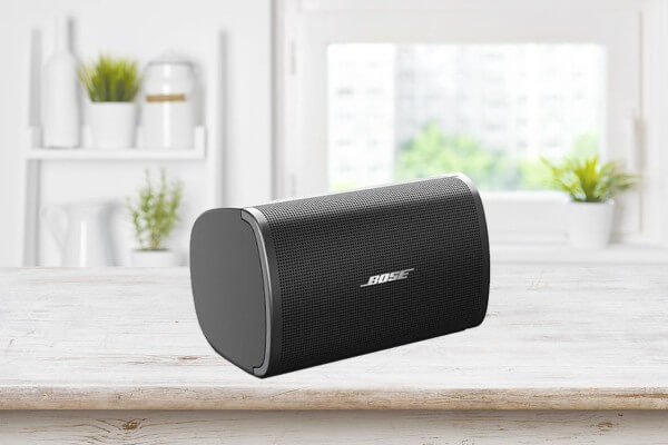 Loa Bose DesignMax DM2S