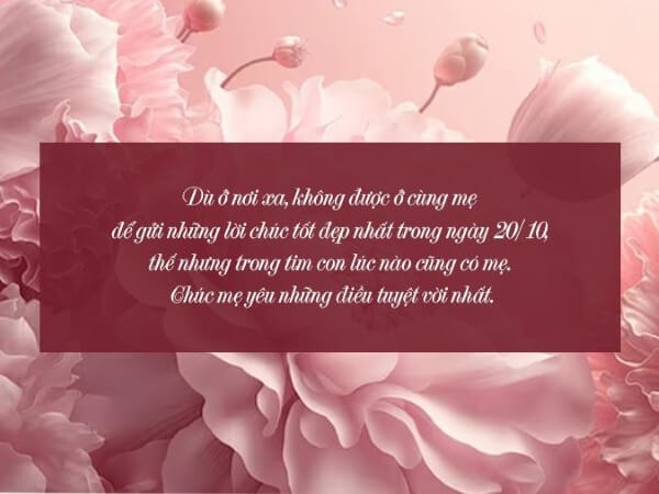 Gợi ý lời chúc 20 10 cho mẹ cảm động
