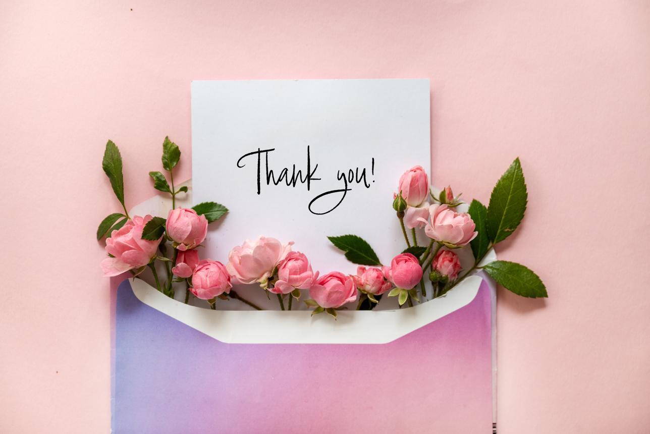 Thank you greeting card with pink roses