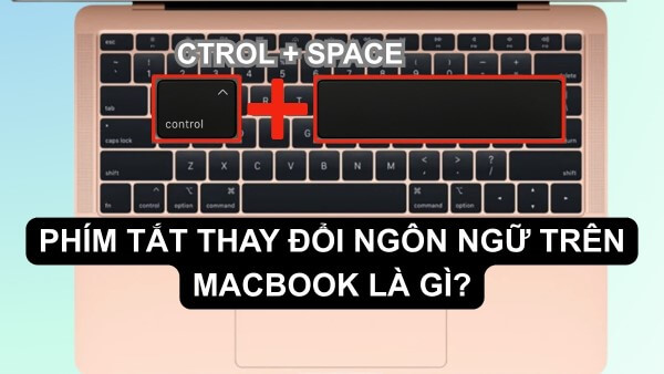 Phím tắt Control + Space