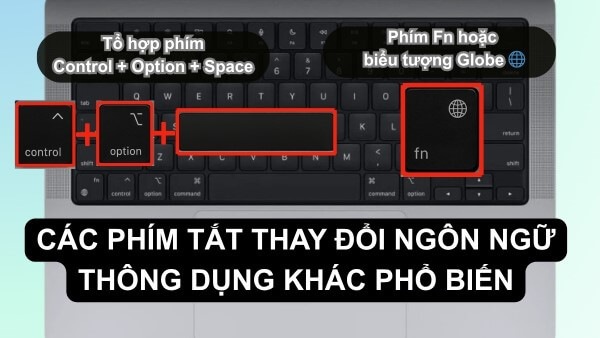 Phím tắt Command + Space của Spotlight Search