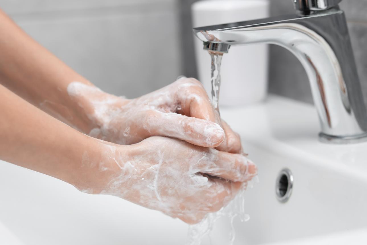 Rửa tay sau khi bị chó cắn