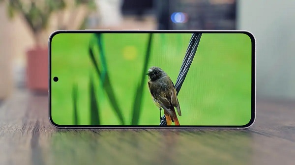 Galaxy S26 FE được trang bị màn hình Dynamic AMOLED 2X 6.7 inch