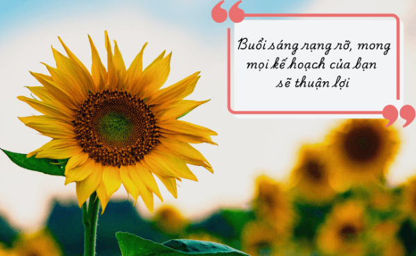 Những câu nói hay chào ngày mới tích cực và thuận lợi
