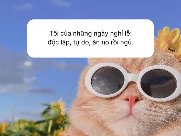 Lựa chọn những câu status phù hợp với từng hoàn cảnh