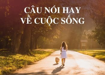 100+ Status hay về cuộc sống ý nghĩa, đáng suy ngẫm nhất
