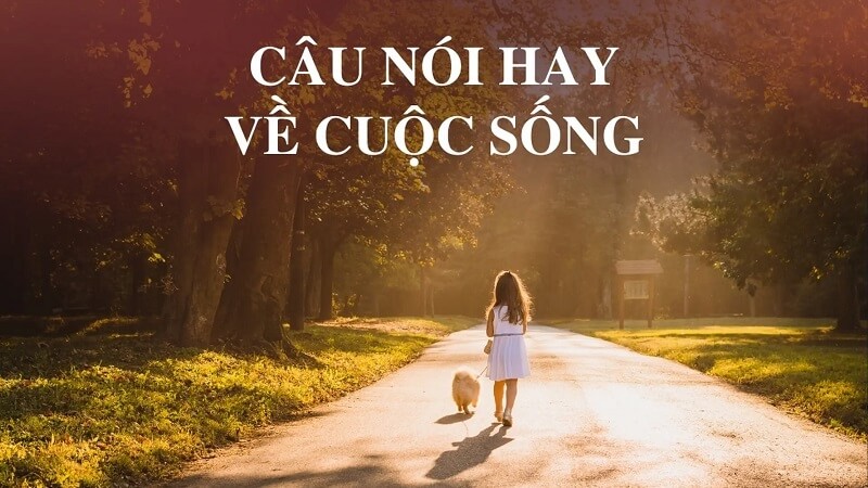 Tổng hợp những status hay về cuộc sống ý nghĩa và đáng suy ngẫm