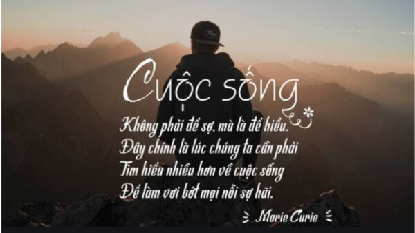 Những cách chọn status hay về cuộc sống phù hợp tâm trạng