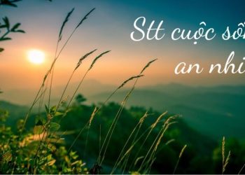 60+ Status hay về cuộc sống an nhiên, bình yên