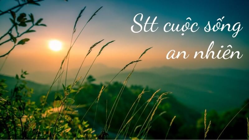 Những câu nói hay về cuộc sống an nhiên, bình yên nhất 