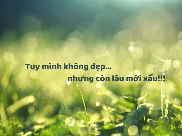 Những câu nói hay ngắn, súc tích nhưng truyền tải đúng cảm xúc