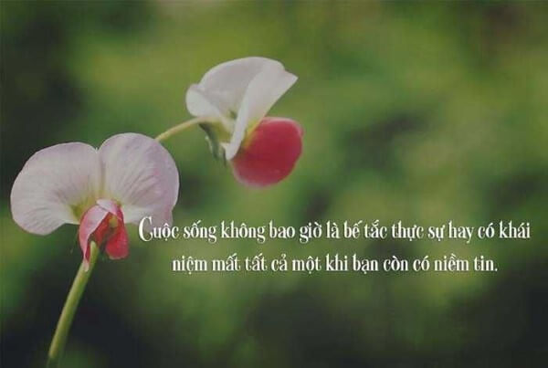 Lựa chọn caption ấn tượng phù hợp với hình ảnh và cảm xúc 