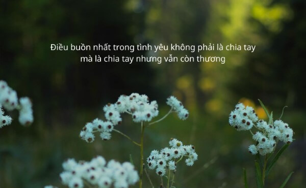 Những câu nói thể hiện tâm trạng chênh vênh, suy tư