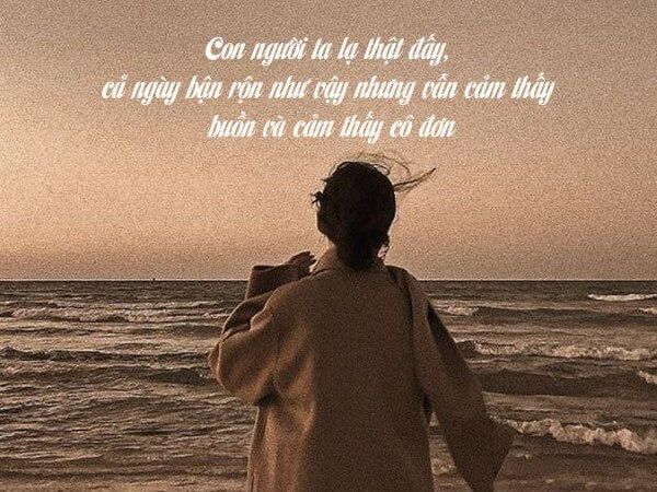 Những câu tâm trạng có nhịp điệu và vần nhẹ