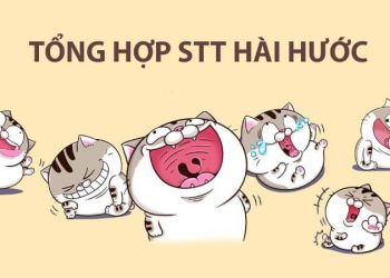 80+ Status thả thính hài hước, troll cực mạnh