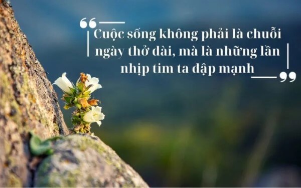 Kinh nghiệm chọn status có nội dung phù hợp với từng khoảnh khắc