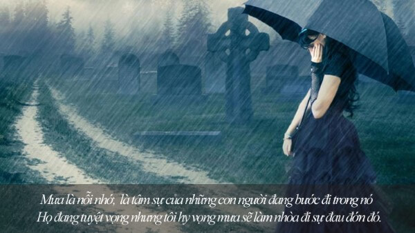 Những câu nói về mưa vui nhộn pha chút tình cảm và sâu lắng 