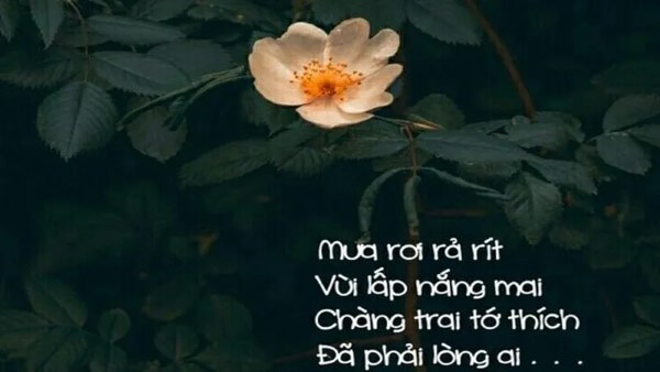 Những câu nói về mưa thả thính cực chất 