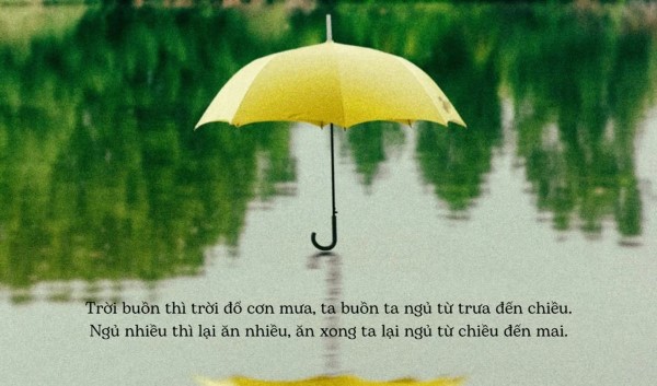 Một số cách tạo một câu nói kèm ảnh về mưa độc đáo