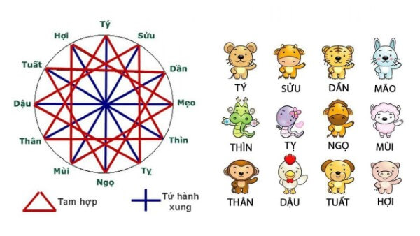 Hướng dẫn cách tính tuổi tam hợp và các nhóm tam hợp