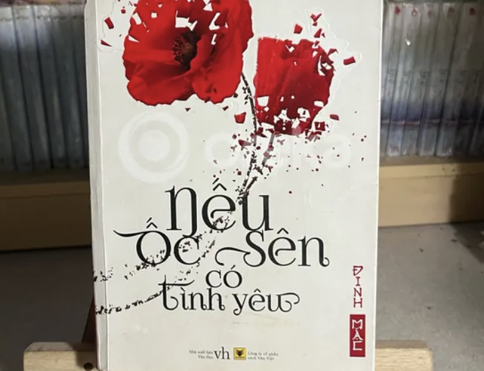 Top 35 truyện ngôn tình được đọc nhiều nhất: đủ mood, đủ HE và SE