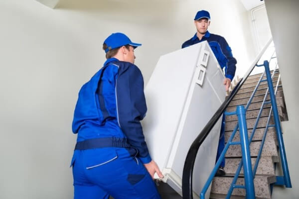 Nên đợi một vài giờ sau khi vận chuyển rồi mới cắm tủ lạnh